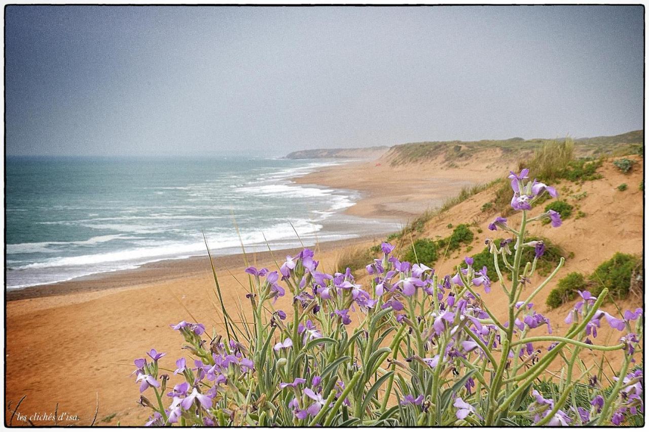 La Calypsette - Face Grande Plage Des Sables D'Olonne Les Sables-dʼOlonne Exteriör bild